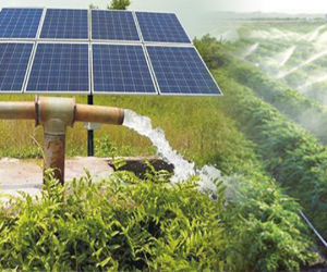 Hệ thống bơm nước năng lượng mặt trời 1HP| Báo giá trọn bộ