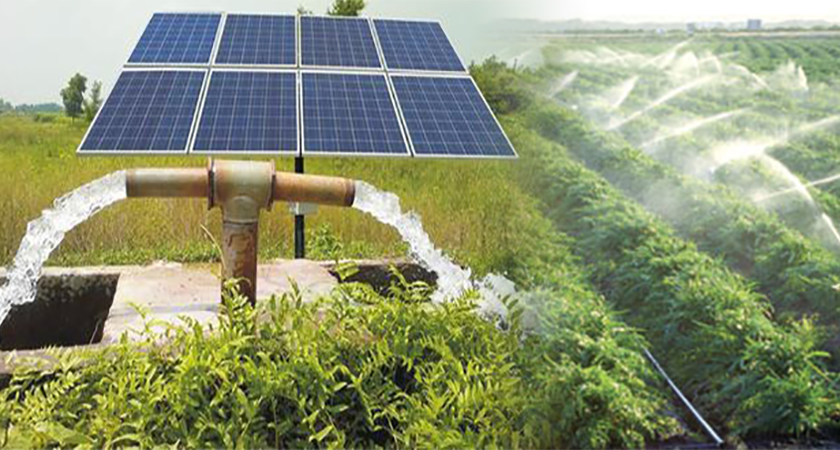 hệ thống bơm nước năng lượng mặt trời 1hp trong nông nghiệp