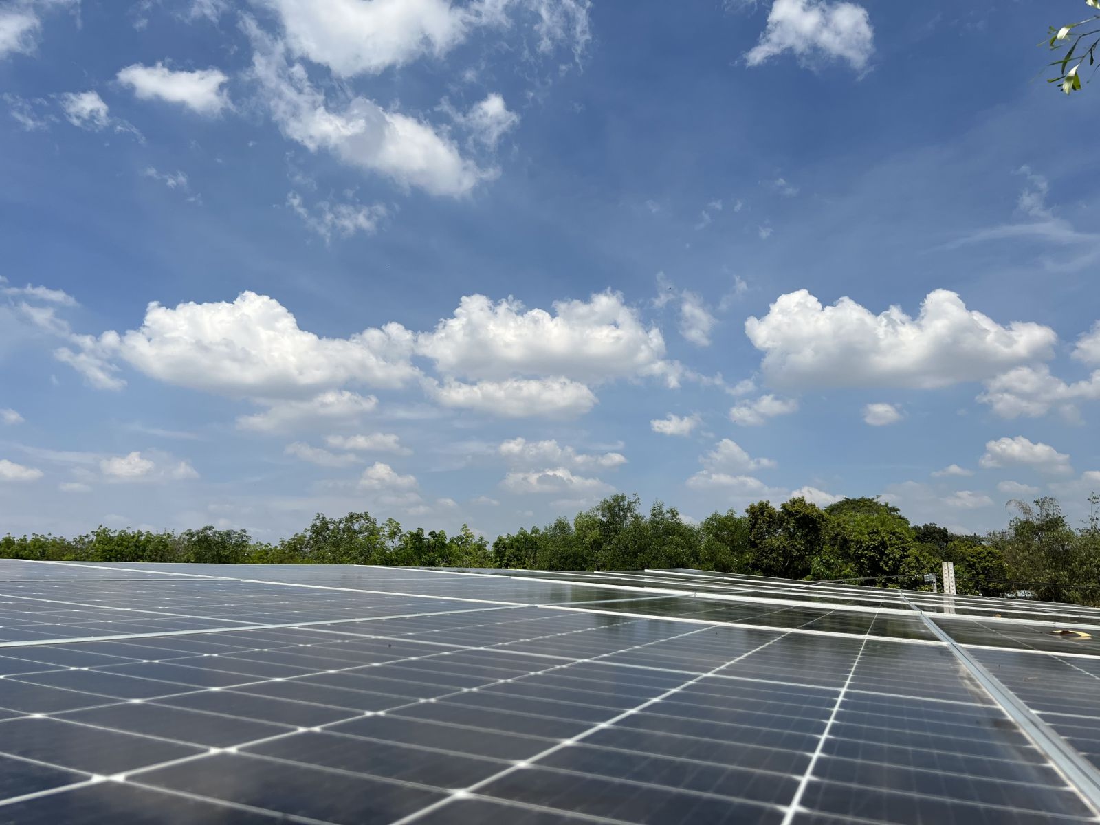 Phúc Nguyễn Solar đơn vị bảo trì hệ thống điện nlmt