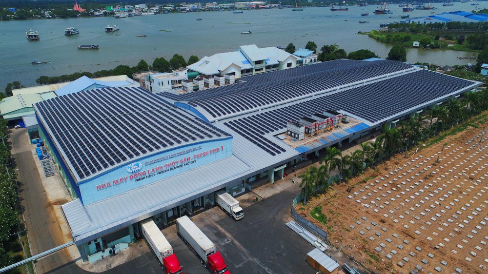 Nhà máy ĐÔNG LẠNH THỦY SẢN 1 với hệ thống năng lượng mặt trời áp mái