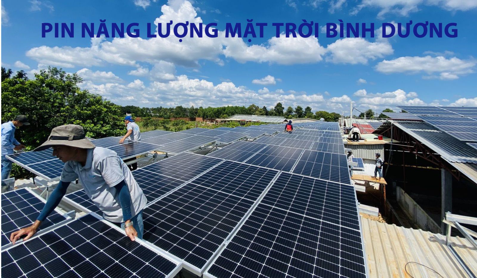 Pin năng lượng mặt trời Bình Dương